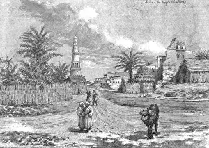 Mocha: Yemen - Mocha - 1883