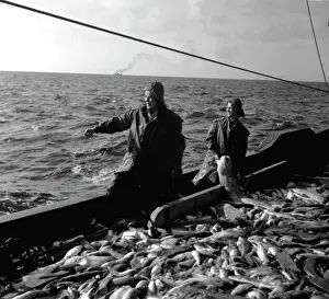 Demonstrate: Yerevan trawler