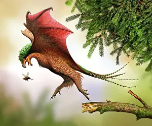 Limbs: Yi qi hunting flies