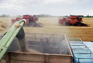 Supplied: Yield of grain and grain-legume crops in Bashkortostan