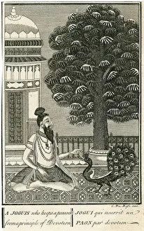 Ascetics: YOGI AND PEACOCK