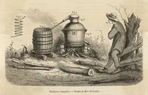 Yokel: YOKEL & DISTILLERY