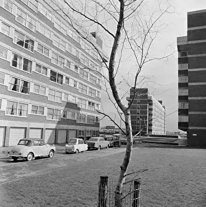 Penfield: YORK WAY ESTATE