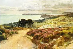 Ravenscar: YORKSHIRE/RAVENSCAR VIEW