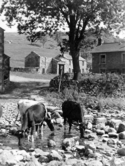 Stainforth: YORKSHIRE SCENE
