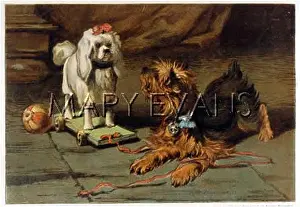 Mei - Consolidated Archive Holdings Ltd: YORKSHITE TERRIER BARKS
