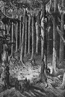 Designated: Yosemite National Park: on the way through the