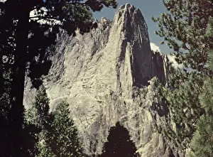 Anne Burton: Yosemite Park - California