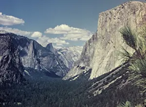 Anne Burton: Yosemite Park - California