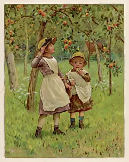 Pickers: YOUNG APPLE PICKERS