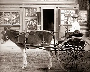 Asp001: Young Boy Driving Donkey Cart Looking at Camera