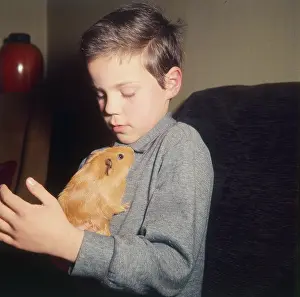 Guinea: Young boy with his pet Guinea Pig