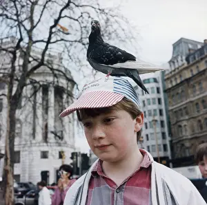 Freckled: Young boy with a pigeon on his hat, Trafalgar Square