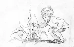 Questioning: A young boy reaches down to touch a plant