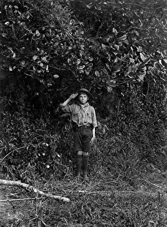 Mauritius: Young boy scout saluting, Mauritius