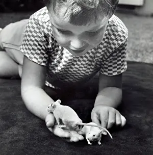 Mice: A young boy with two white pet mice