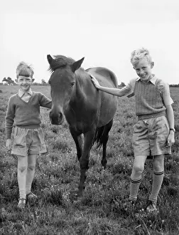Patting: Young boys with a Moorland Pony