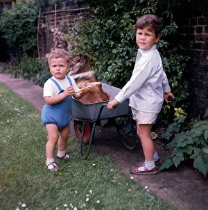 Wheelbarrow: Two young boys taking their pet dog for a ride