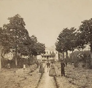 Lowlands: Four young Caucasian men and women in front