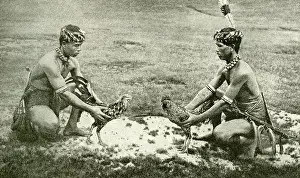 Cockerel: Two young Dayak men, Borneo, SE Asia