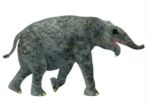 Pleistocene: A young Deinotherium mammal, side profile