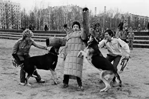 Shogin: Young dogmen's club
