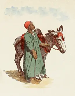 Trusty: Young Egyptian boy with his donkey
