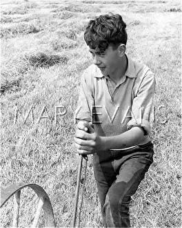 Farmhand: A YOUNG FARMHAND
