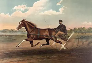 Trotter: Young Fullerton, (3528): record 2:20 3/4