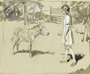 Pigtails: Young girl feeds a Donkey