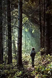 Lga001: Young Girl in Forest Looking at Sunlight Streaming Thro