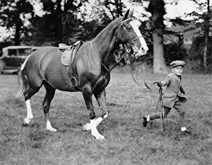 Chertsey: Young horseman and his pony