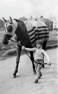 Excercises: Young jockey