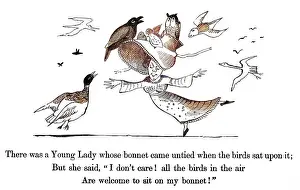 Untied: Young Lady Whose Bonnet, Edward Lear