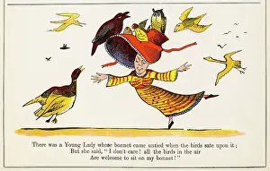 Sate: Young Lady Whose Bonnet, Edward Lear