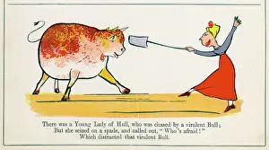 Chased: Young Lady of Hull, Edward Lear