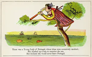 Excessively: Young Lady of Portugal, Edward Lear