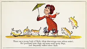 Purchased: Young Lady of Ryde, Edward Lear