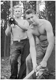 Virile: YOUNG LUMBERJACKS