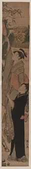 Badminton: Young man playing badminton