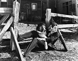 Carefree: Young man sitting next to a fence with his dog