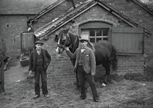Blinkers: Two young men with horse on a farm