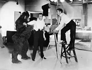 Cooperate: Two young men looking feared being attacked by a gorilla