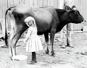 Milkmaid: Young Milkmaid, 1902