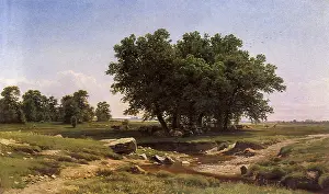 Oaks: Young Oaks