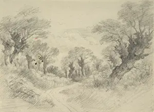 Pollarded: Young Pollards, drawing by John Constable