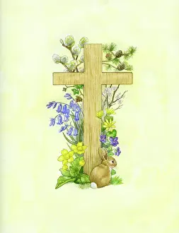 Cones: Young rabbit at foot of wooden cross