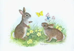 Babington: Two young rabbits with butterflies and primroses