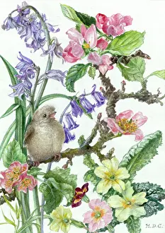 Garside: Young sparrow with spring flowers