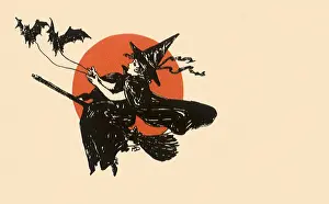 Bats: Young Witch on Broom